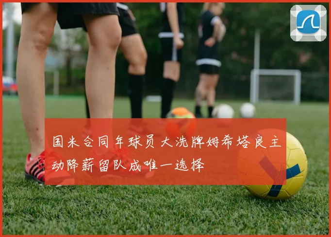国米合同年球员大洗牌姆希塔良主动降薪留队成唯一选择