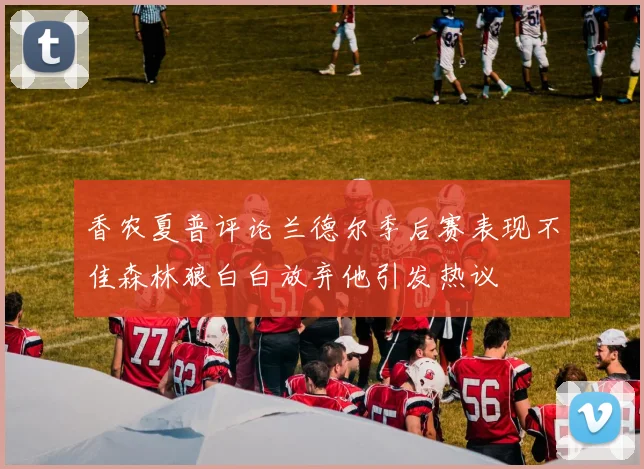 香农夏普评论兰德尔季后赛表现不佳森林狼白白放弃他引发热议