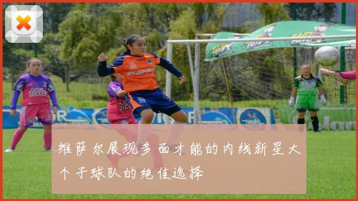 维萨尔展现多面才能的内线新星大个子球队的绝佳选择
